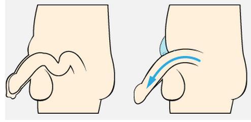 ������������������